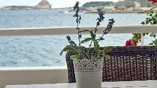 Captain Zeppos Hotel *