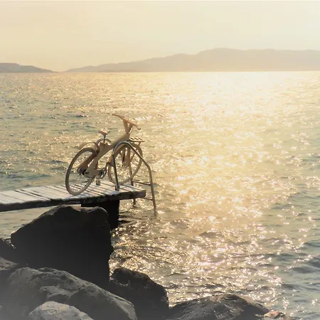 Captain Zeppos Hotel *